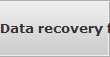 Data recovery for Rochester Hills data
