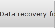Data recovery for Rochester Hills data